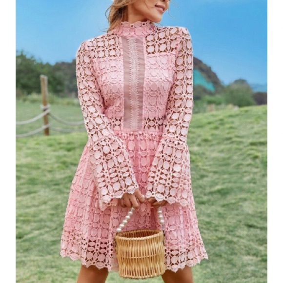 Luxurious mesh insert lace dress - Picture 5 of 6